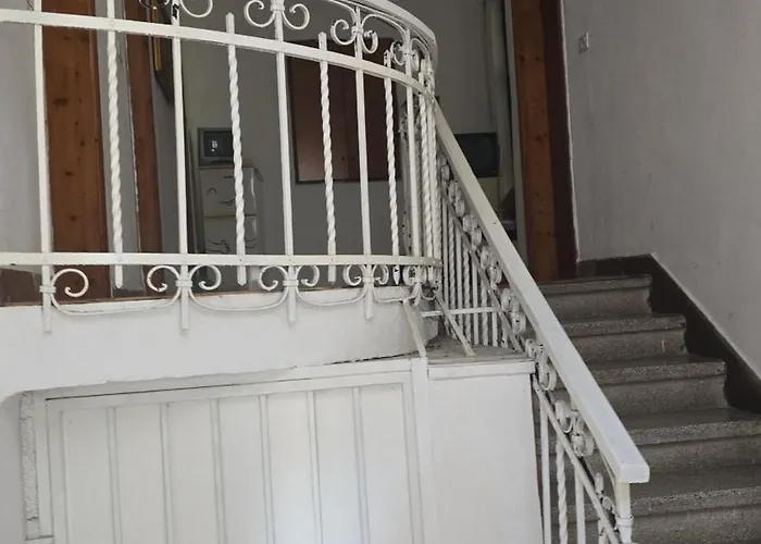 Comfort ティラナ